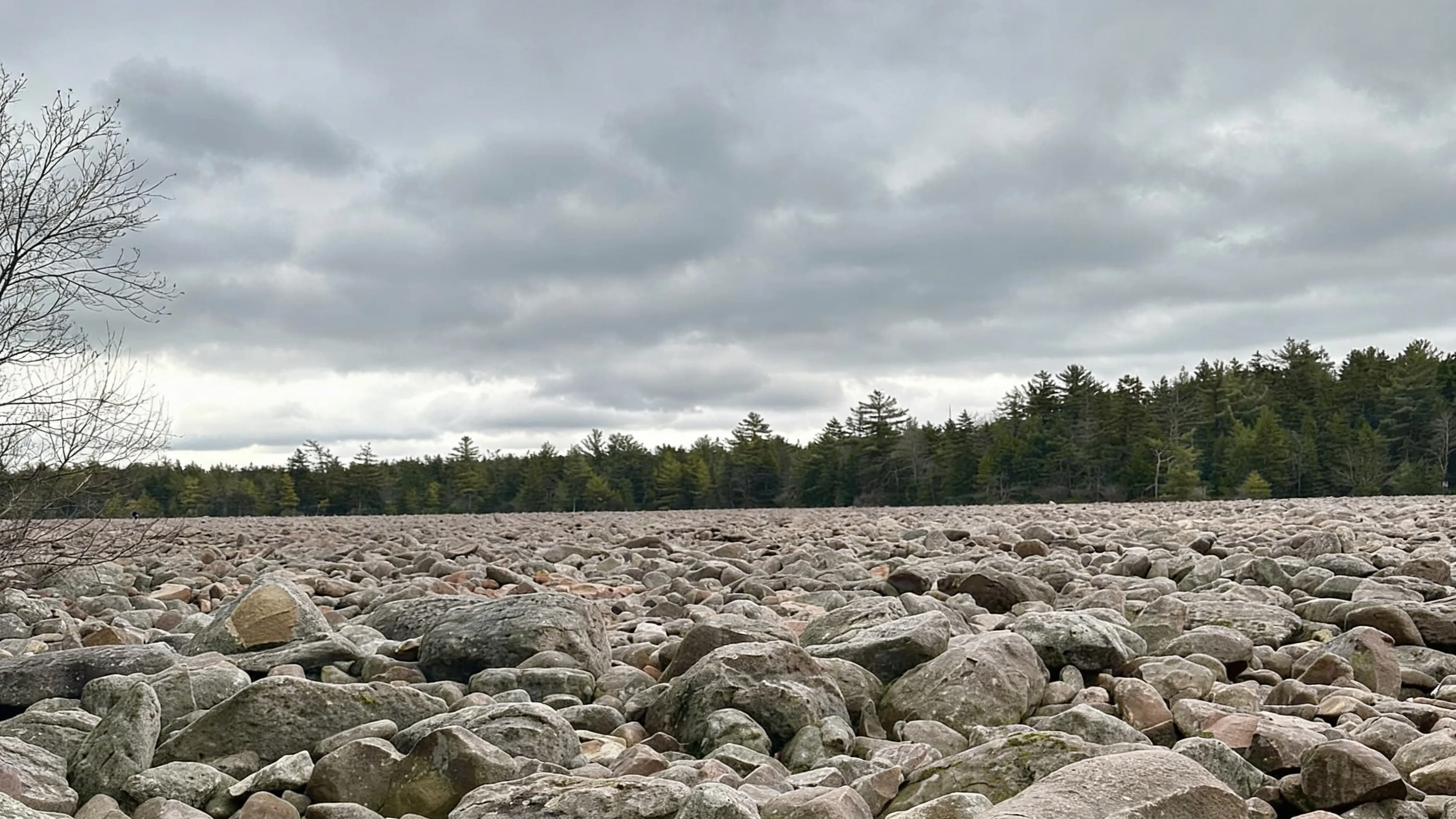 Panoramic view of 16.5-acre Boulder Field at Hickory Run State Park showing red sandstone boulders