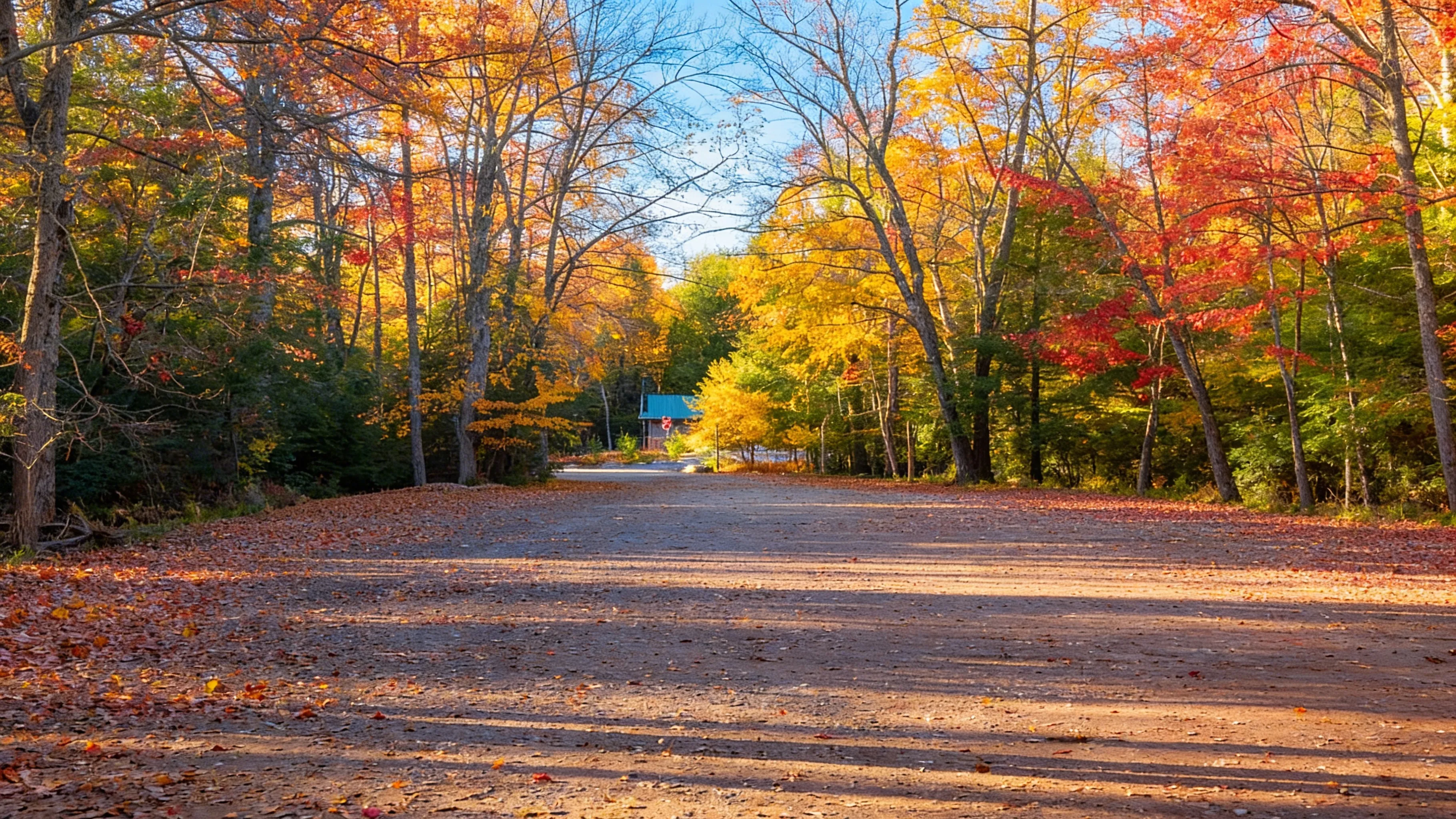 Parking lot and facilities at Boulder Field Hickory Run State Park