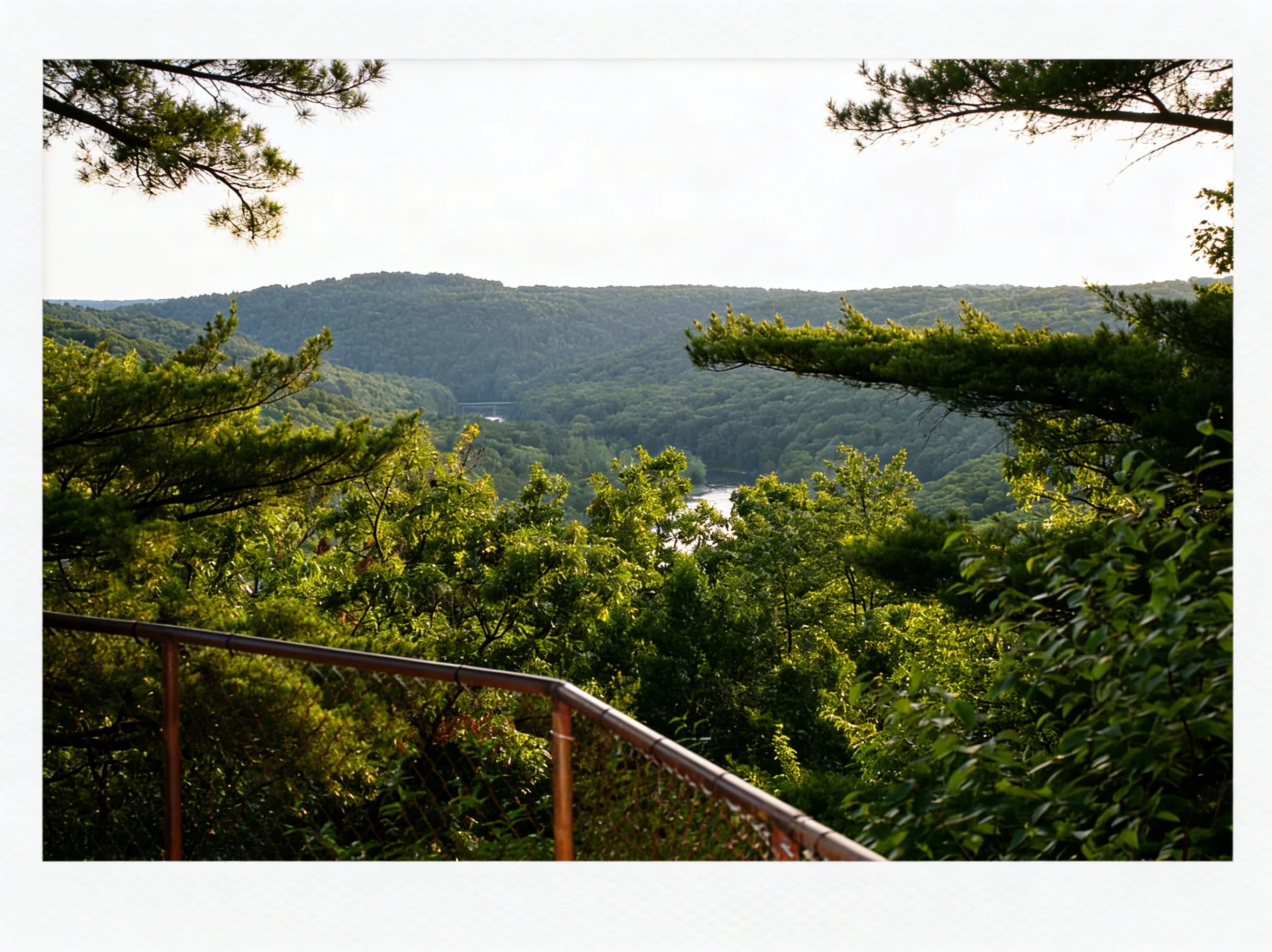 Panoramic view of the rolling plateau from the top of the Fire Tower