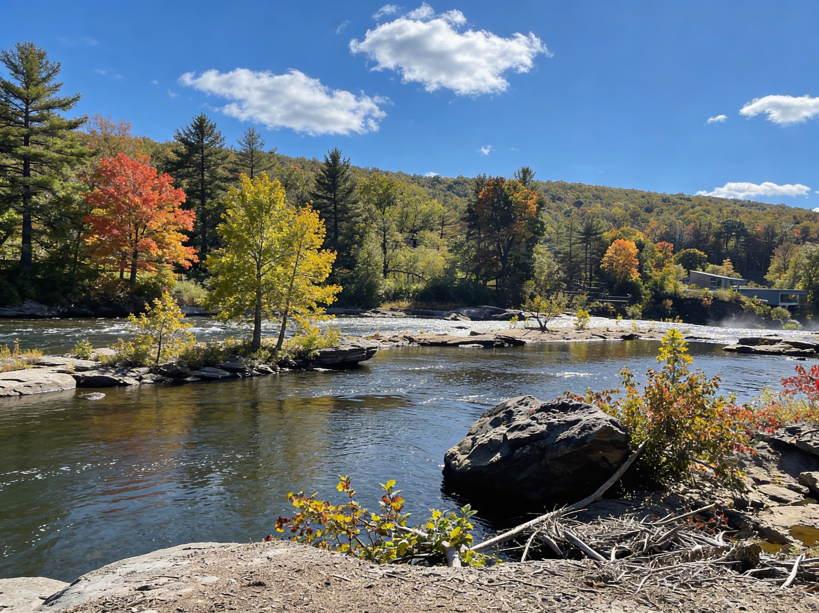 Ferncliff Peninsula: A 2-Mile Time Machine