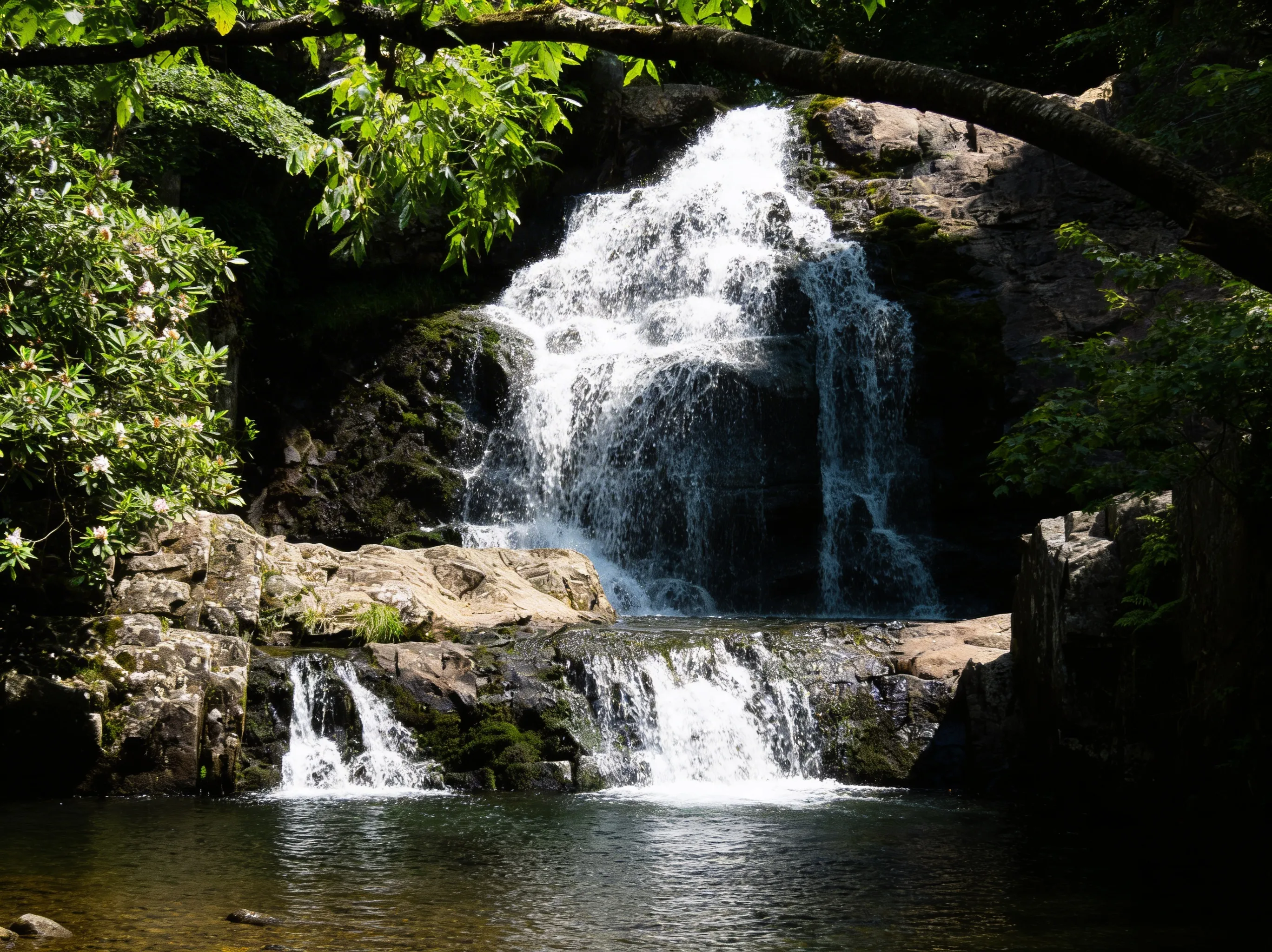 Hawk Falls at Hickory Run State Park