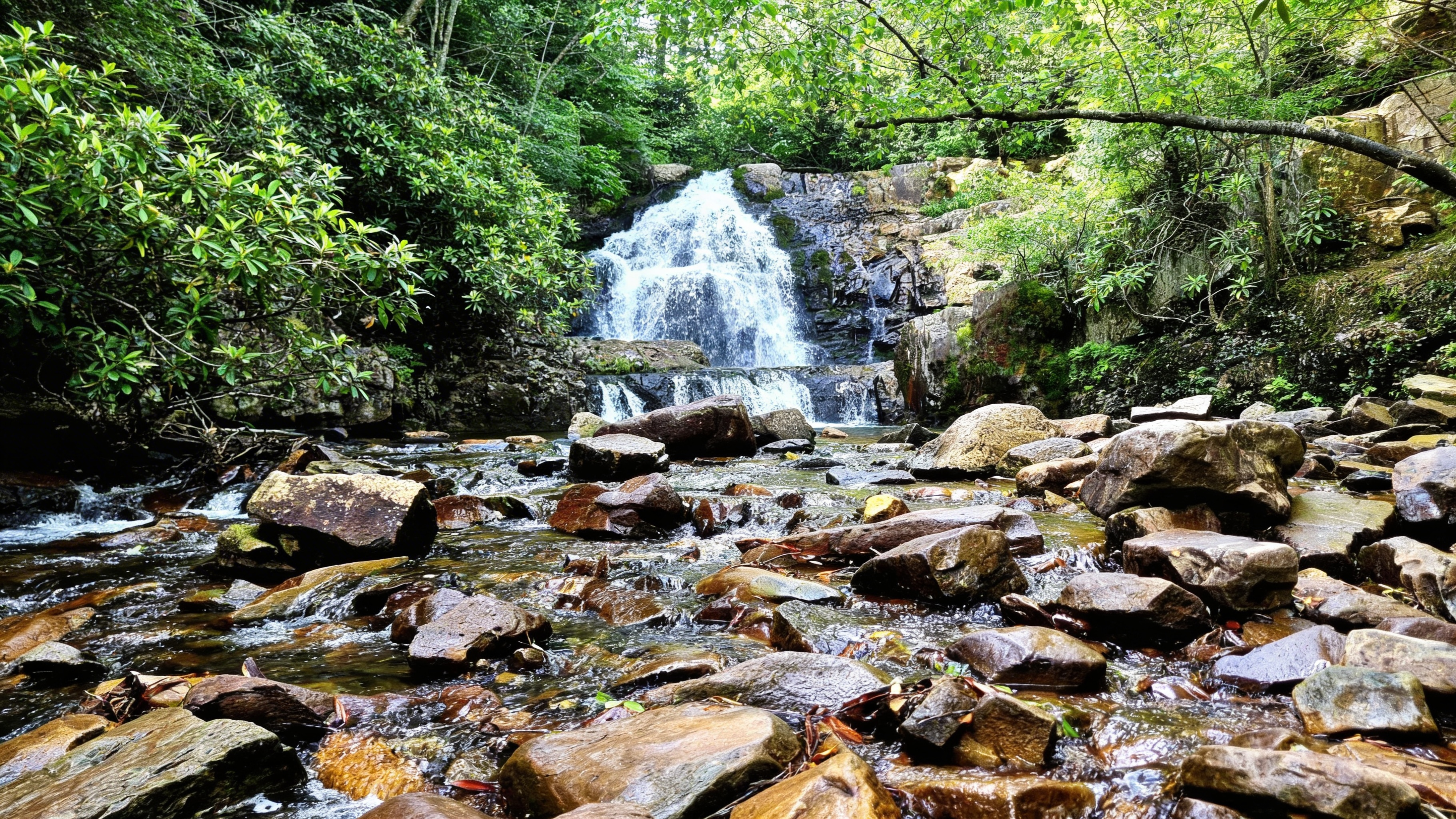 Hawk Falls Trail: Short, Sweet, and Slammed