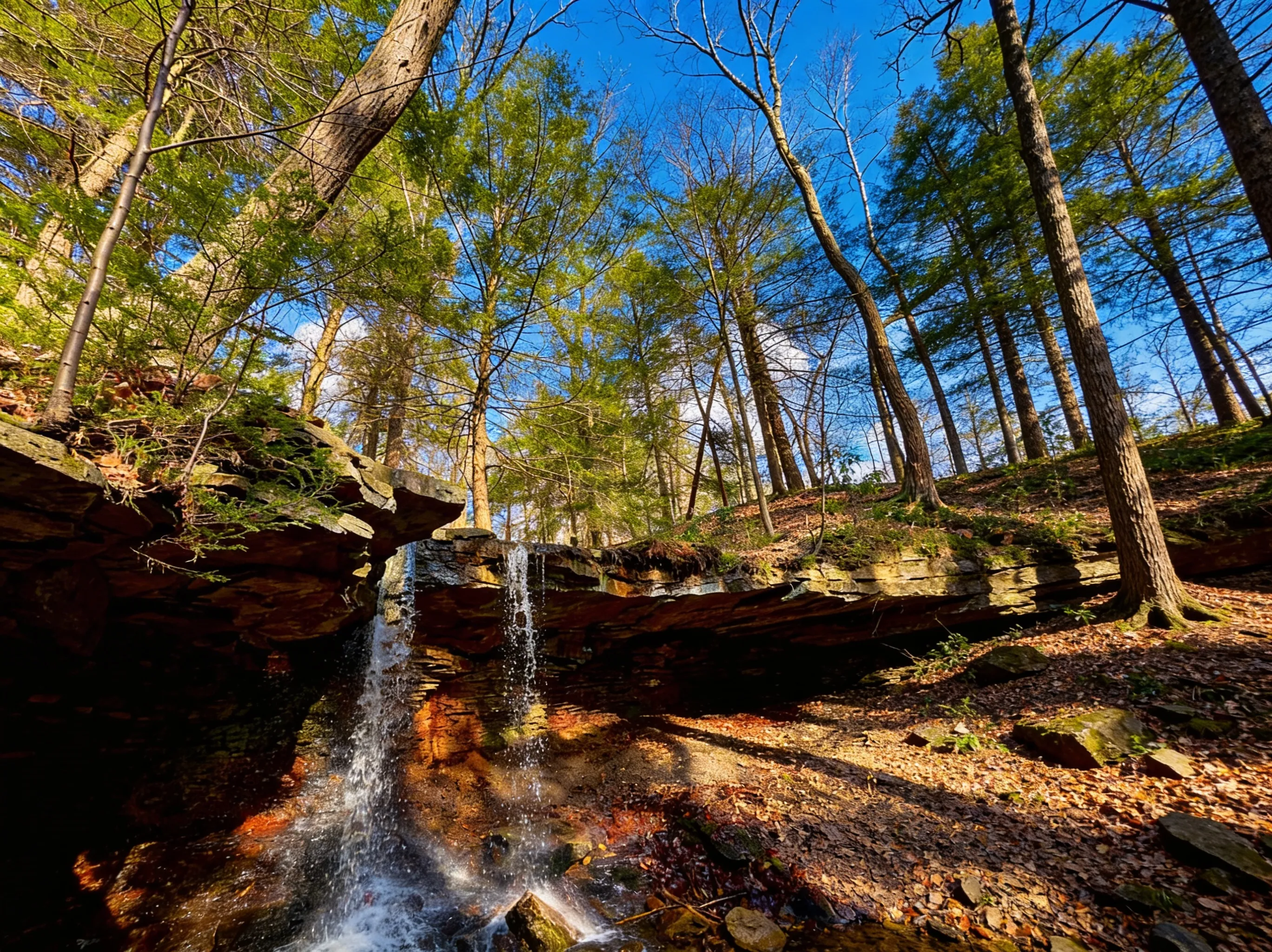 Adams Falls loop trail view