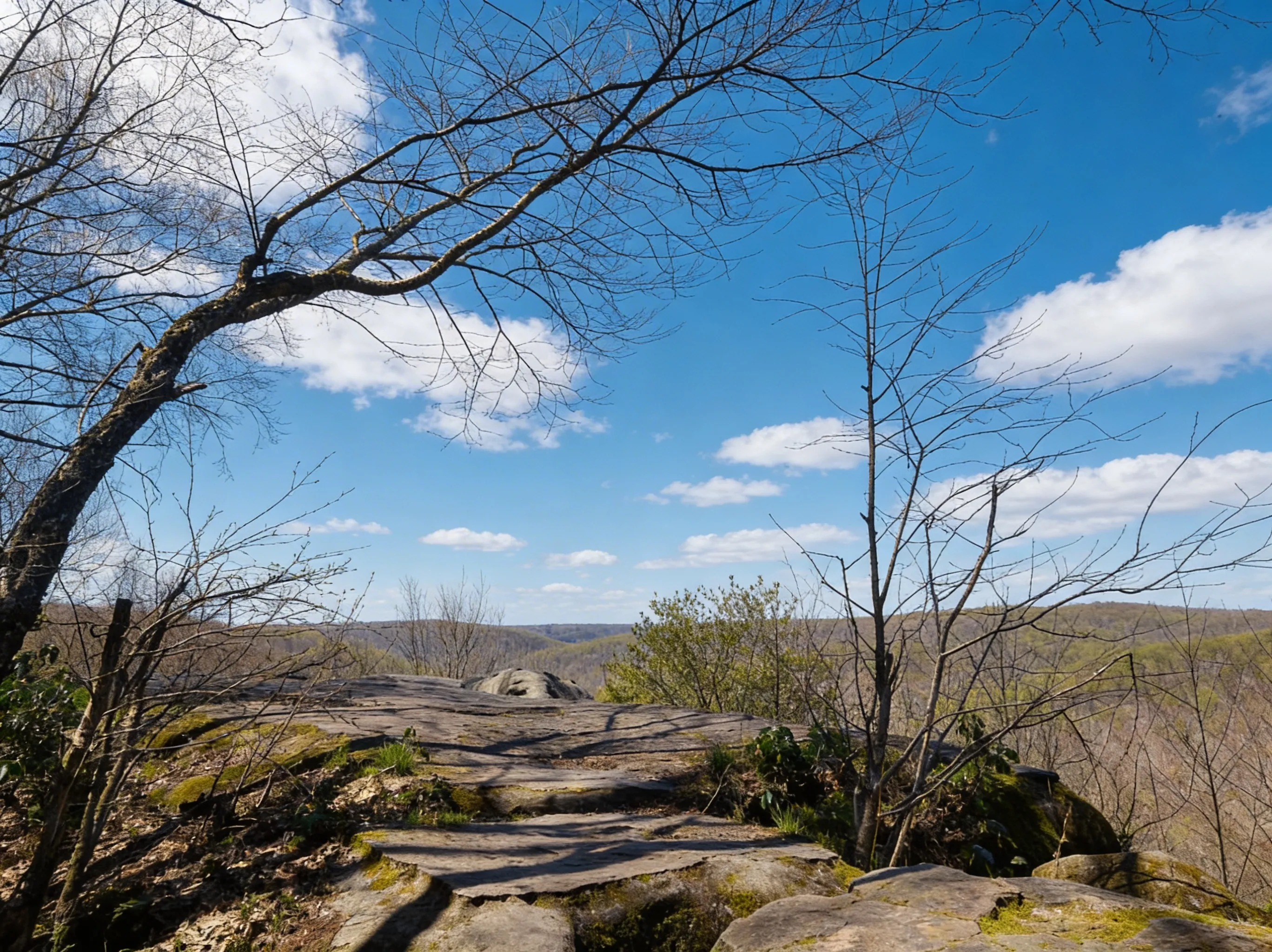 Rock formations on Minister Creek Trail showing the massive boulders hikers navigate through