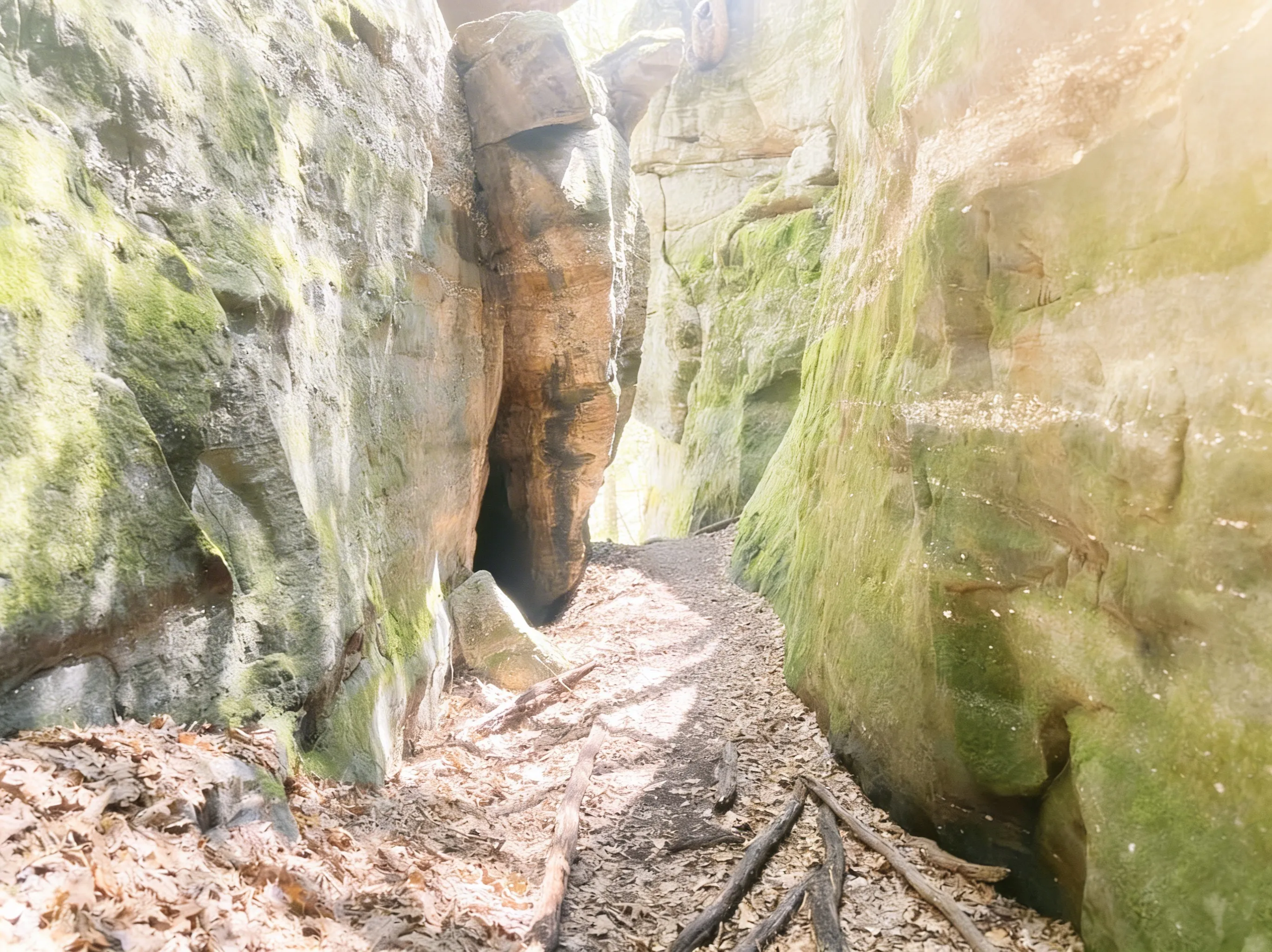 Rock formations on Minister Creek Trail showing the massive boulders hikers navigate through