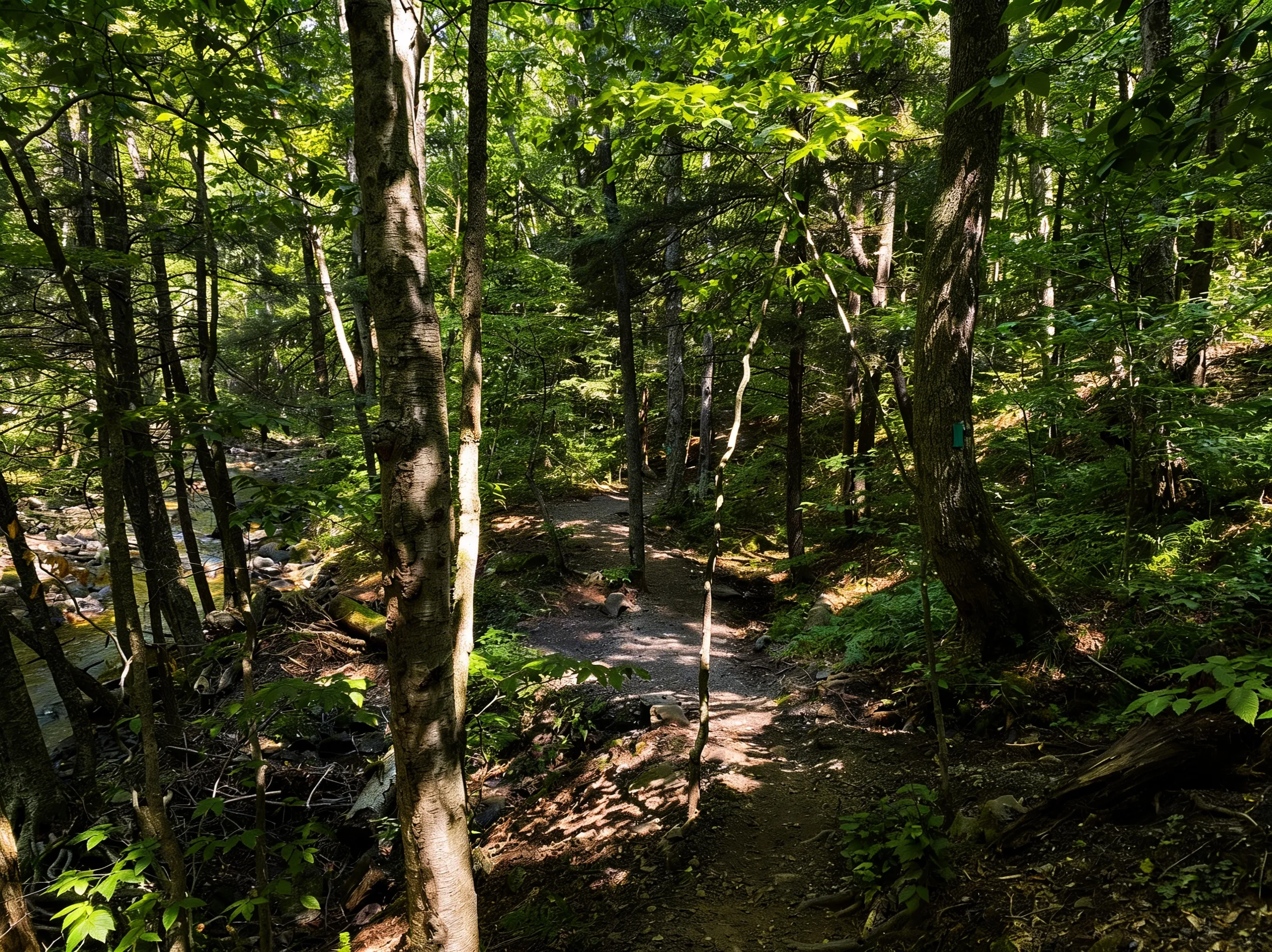 Cascading Cottonwood Falls along the Double Run Nature Trail at World's End State Park